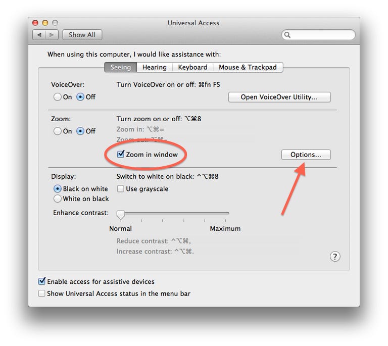 Universal Access system preferences
