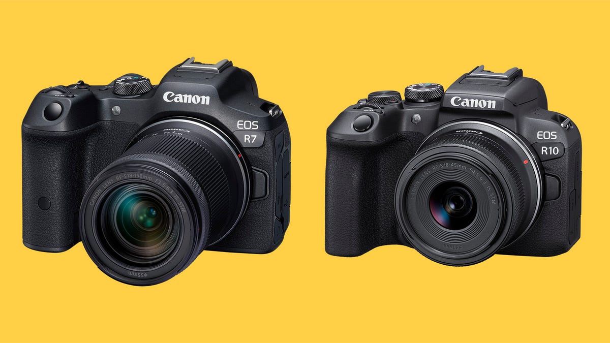The Canon R7 and R10 against a yellow background