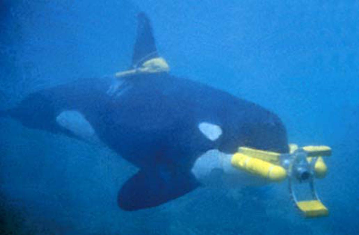 cnet-military-animals-orca-2.jpg