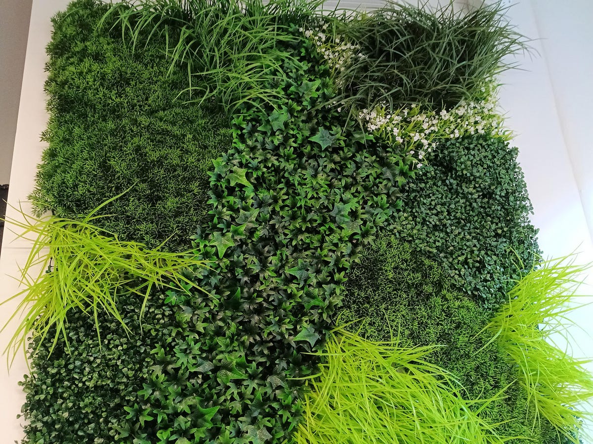 Grass wall in CNET's office