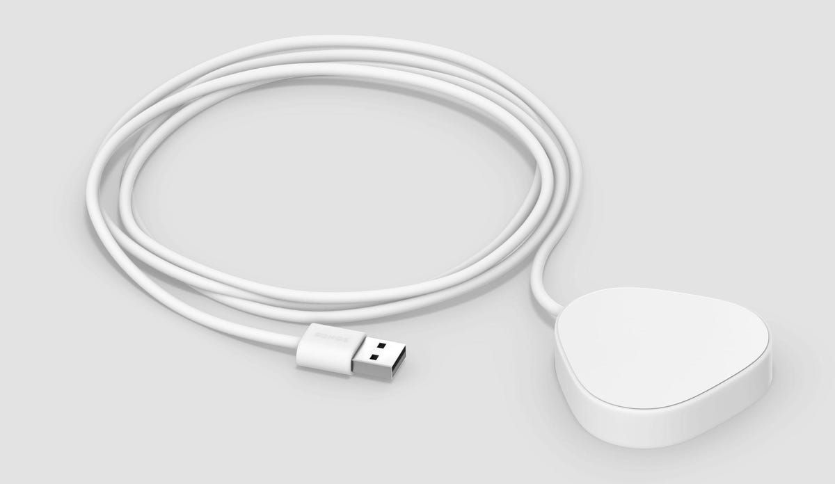 Roam Charging Cable