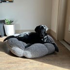 black dog on Lesure Pet dog bed