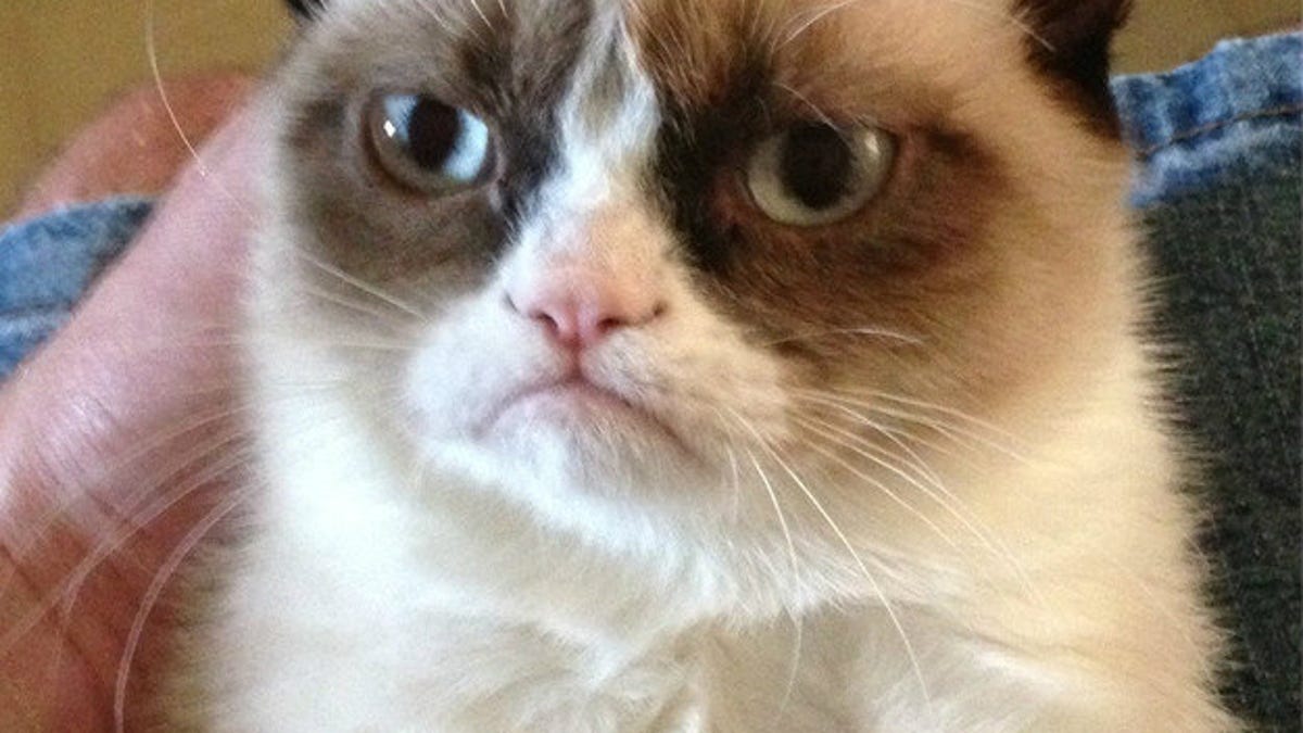 Gangnam Style,' Grumpy Cat top 2012 meme list - CNET