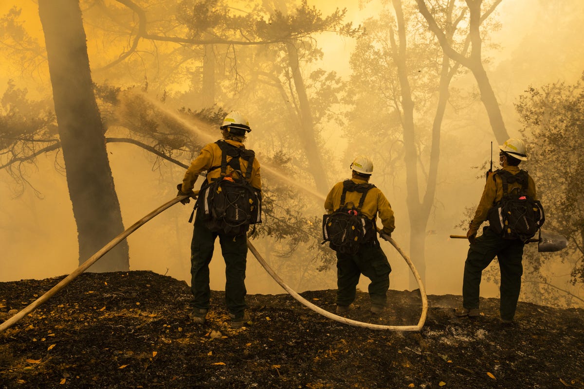 California woodland firefighters