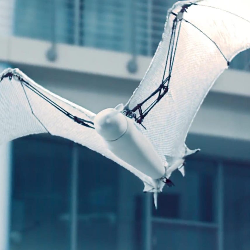Check out this robotic flying fox