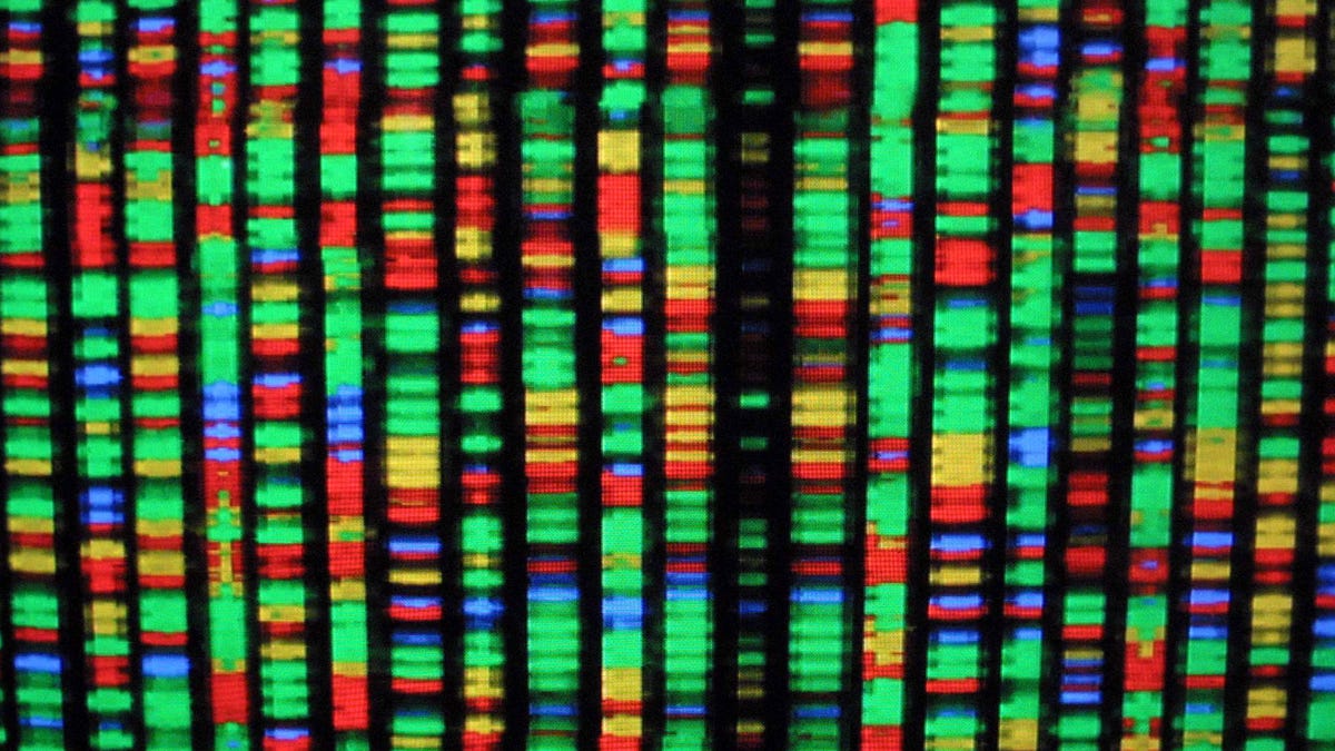 Best DNA Test for 2023: AncestryDNA vs. 23andMe and More