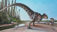 Illustration of a two-legged, small-armed carnivorous theropod dinosaur walking across a sandy surface with another dino laying down on the ground in front of it. There are tall trees and a stream of water nearby.