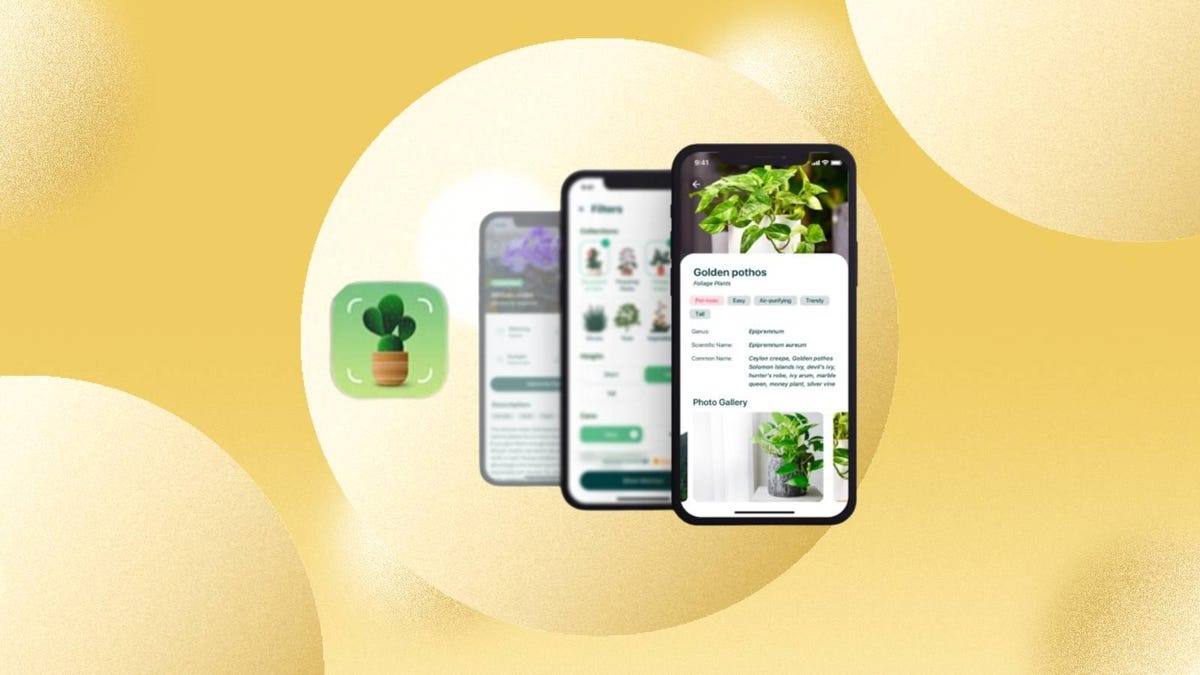 The Plantum app is displayed on a phone against a yellow background.