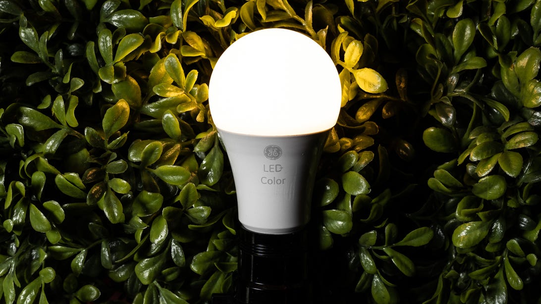 Close-up of a GE LED lightbulb against a leafy background