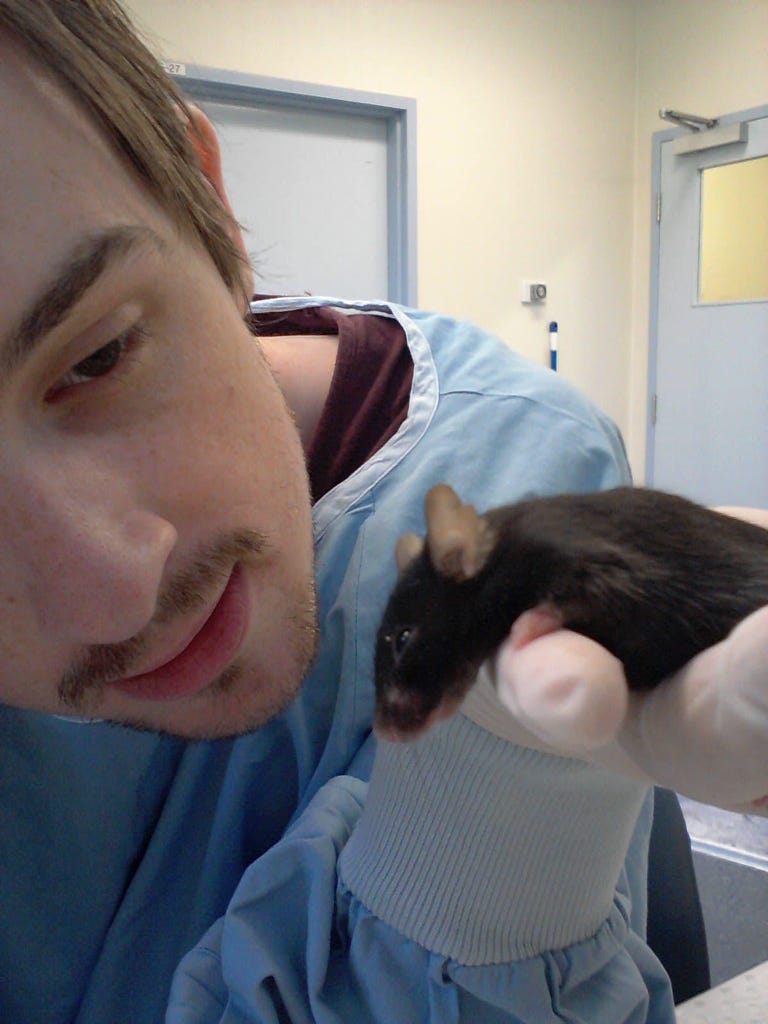 Lasers turn lab mice into brutal killers