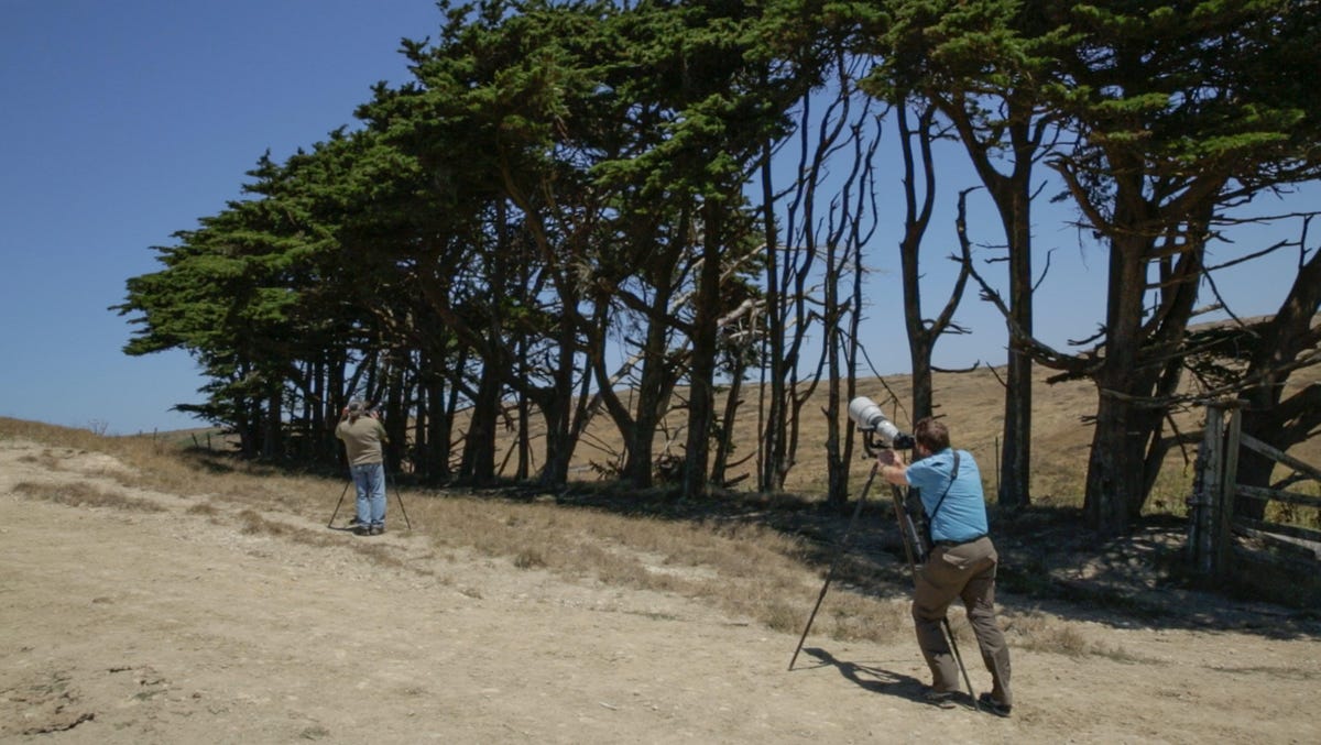 CNET's Stephen Shankland photographs birds in Point Reyes National Seashore, California, using a massive telephoto lens to magnify distant subjects.