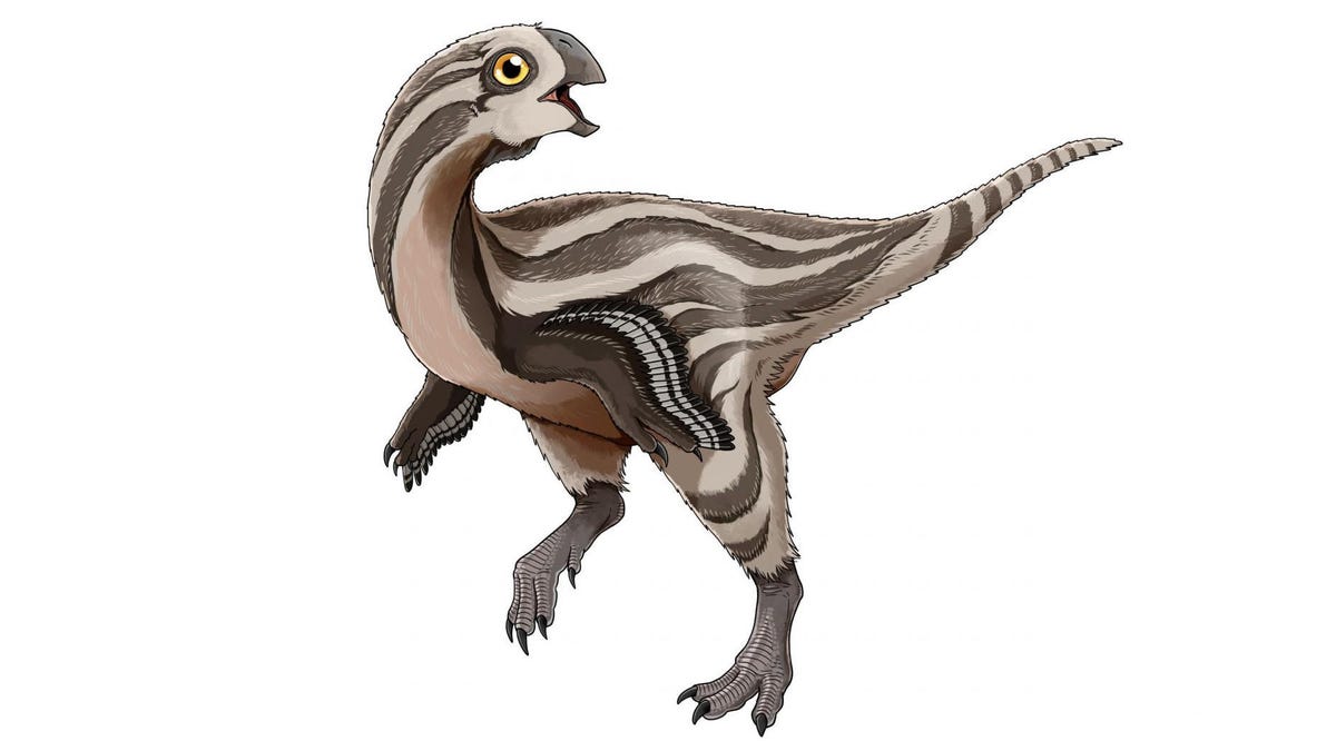 oviraptor1
