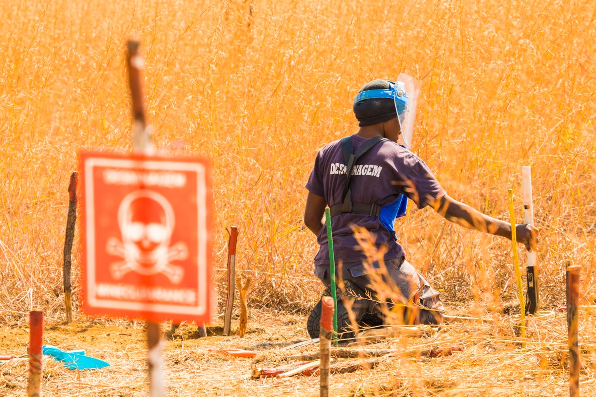Angola minefield the Halo Trust