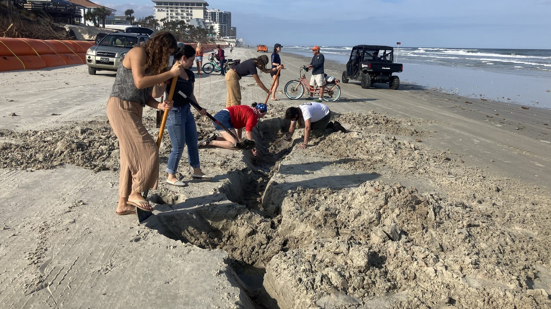 A group of people with shovels work on a trench in the sand on a Florida beach, uncovering part of a historic shipwreck.