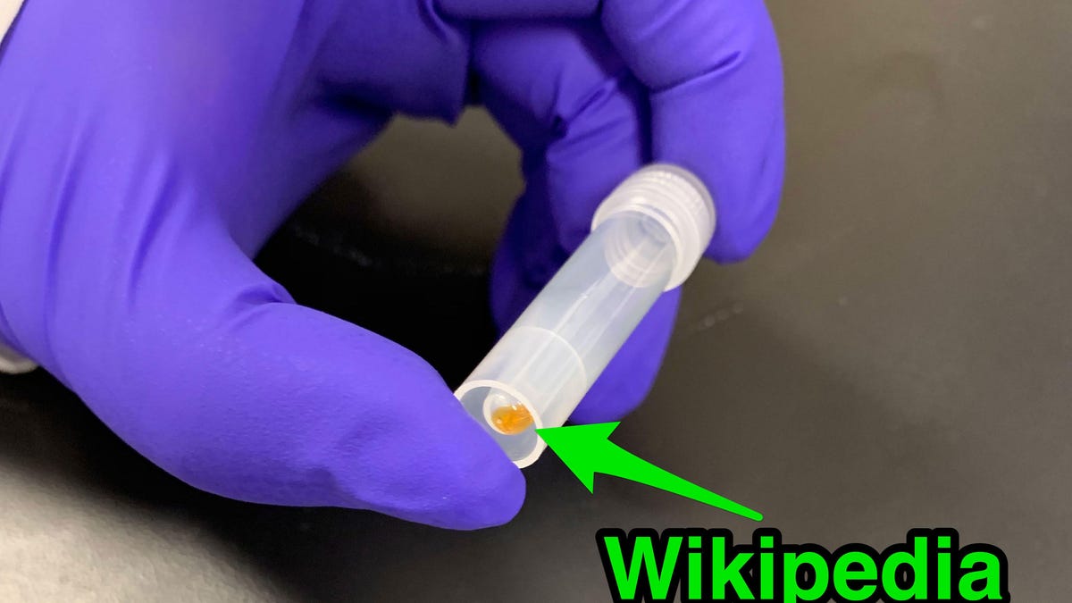 Startup Catalog has stored all 16GB of English-language Wikipedia on DNA contained in this vial.