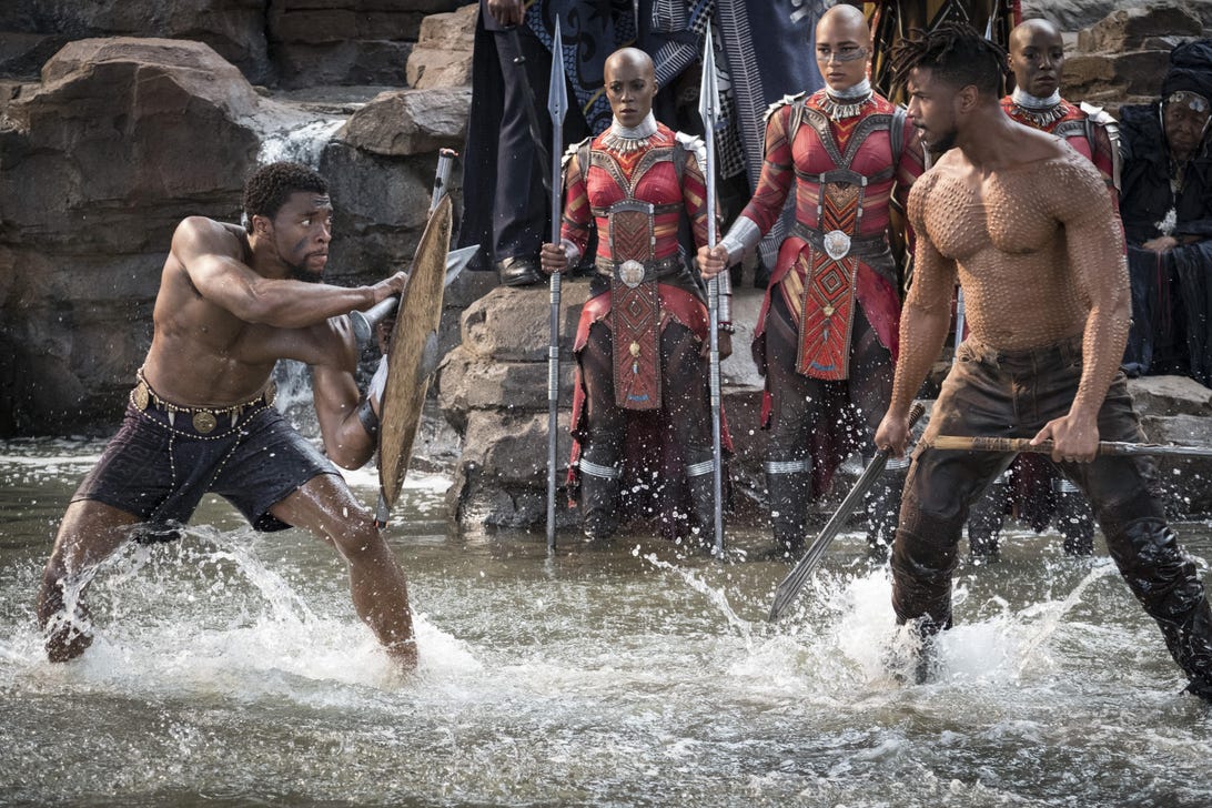 Fight scene in Black Panther.