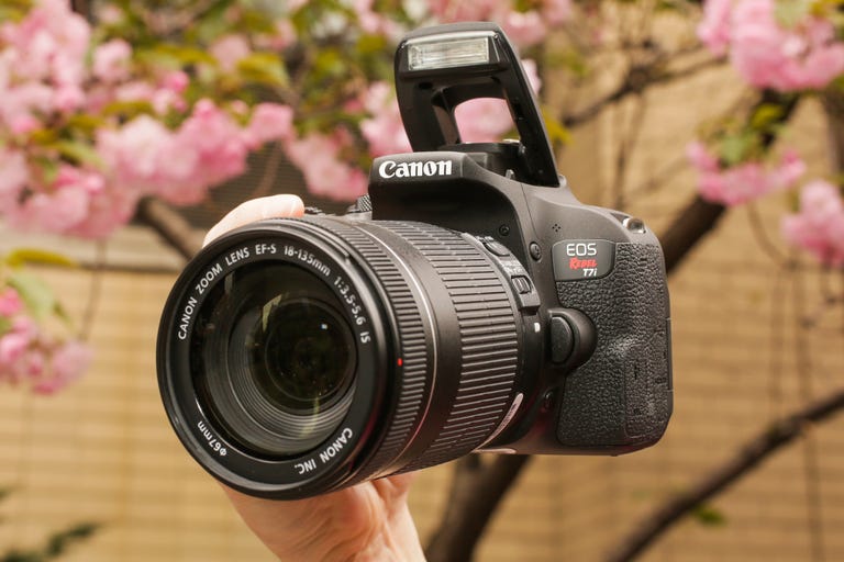 Monumentaal Pelagisch maximaal Canon EOS Rebel T7i/800D review: If it's time for a bit better camera, this  is your Canon - CNET