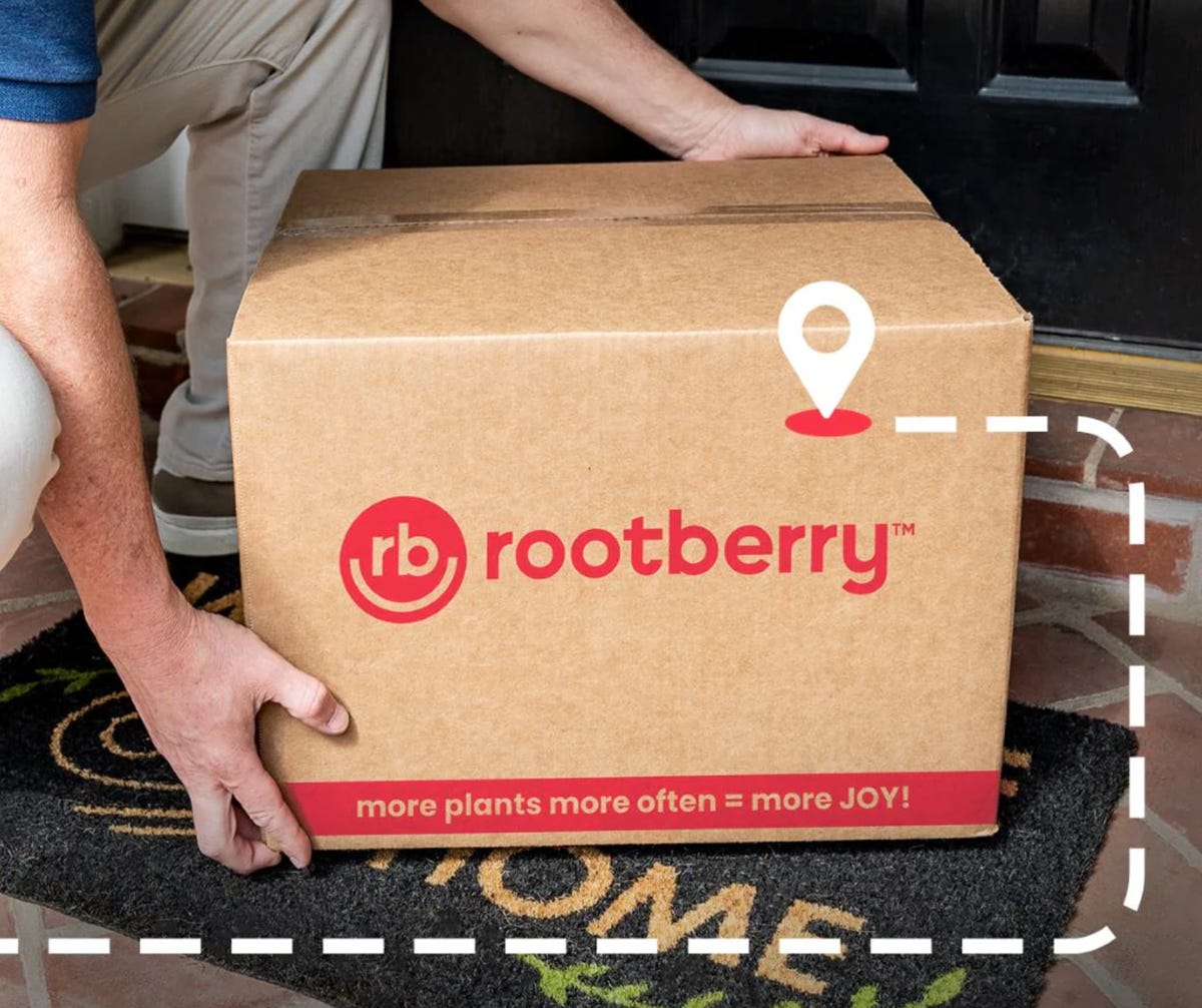 rootberry box