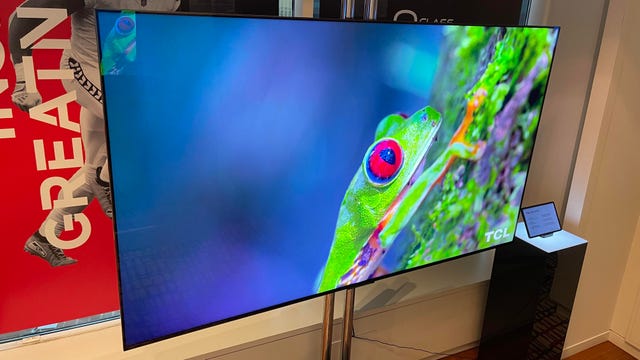 El televisor TCL QM851 2024 con una rana en la pantalla.