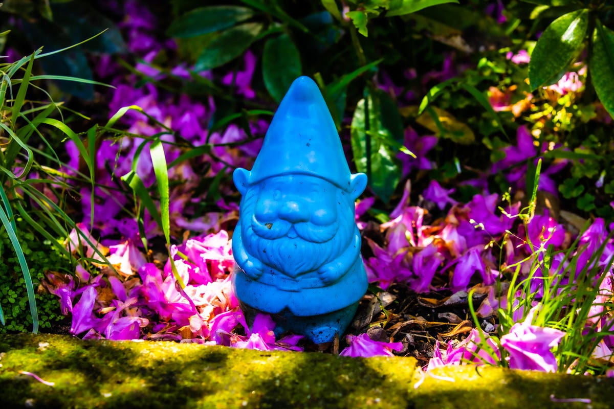 craig-newmark-craigslist2018-gnome-garden-outside