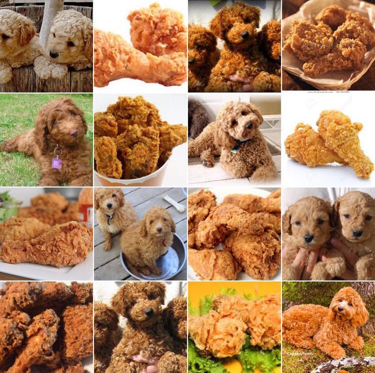 fried-chicken-pups.jpg