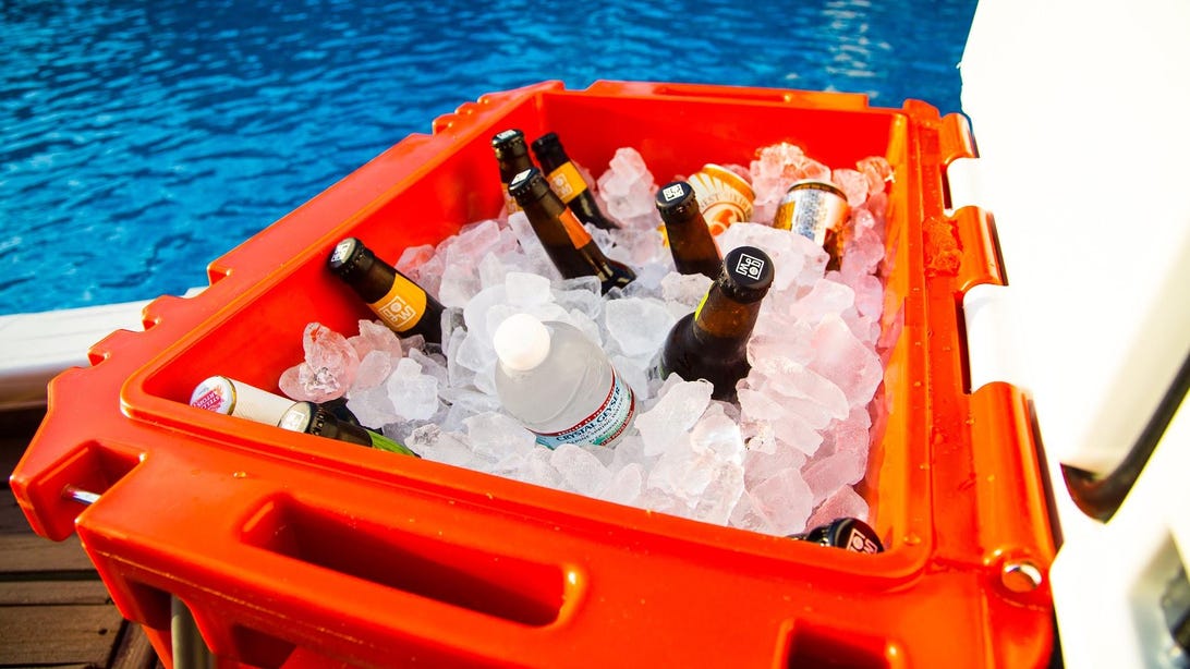 Best Coolers for 2022