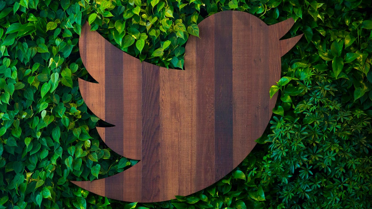 Twitter logo in wood cutout, against backdrop of ivy.