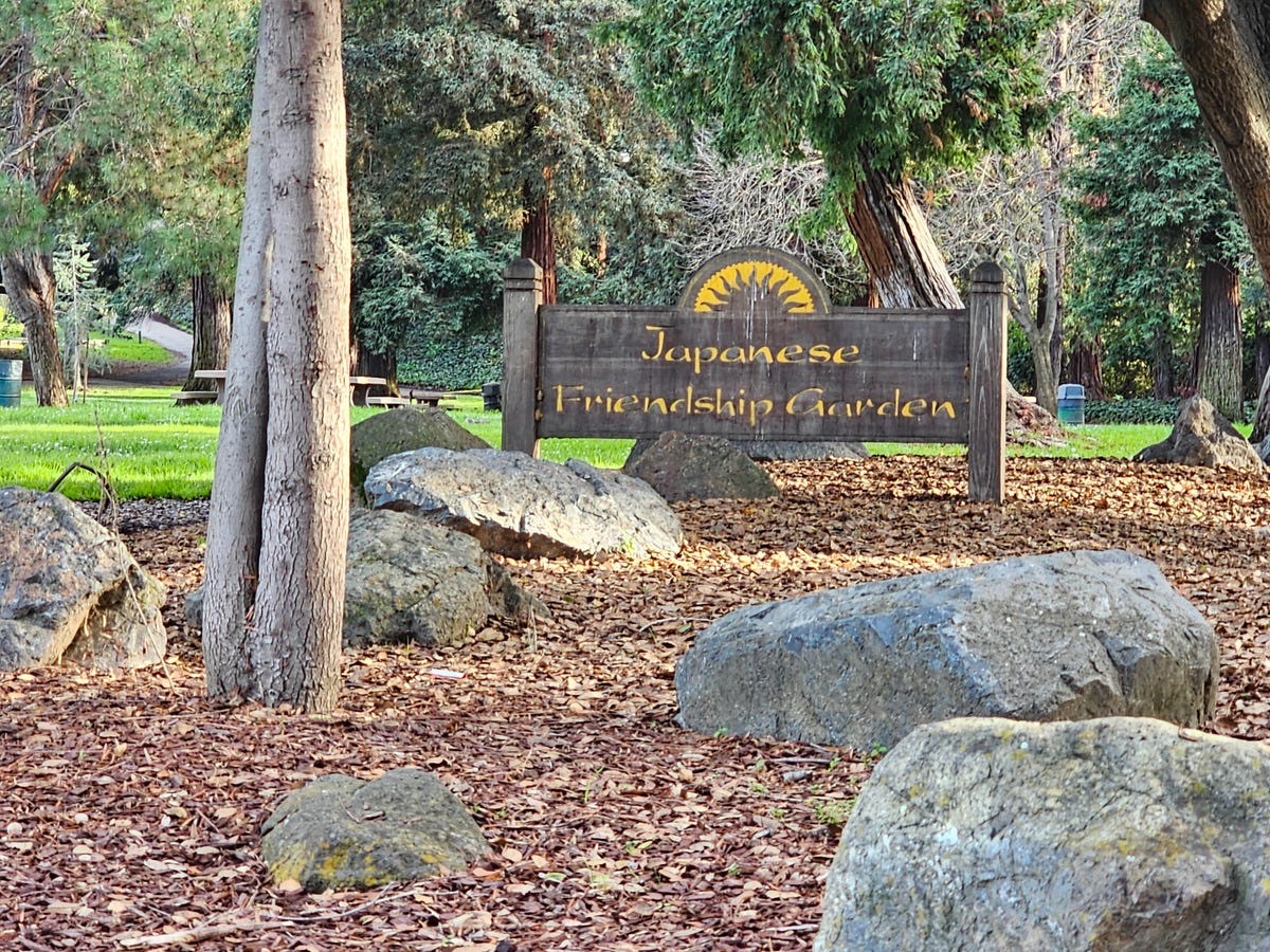 A photo of a wooden sign in a park