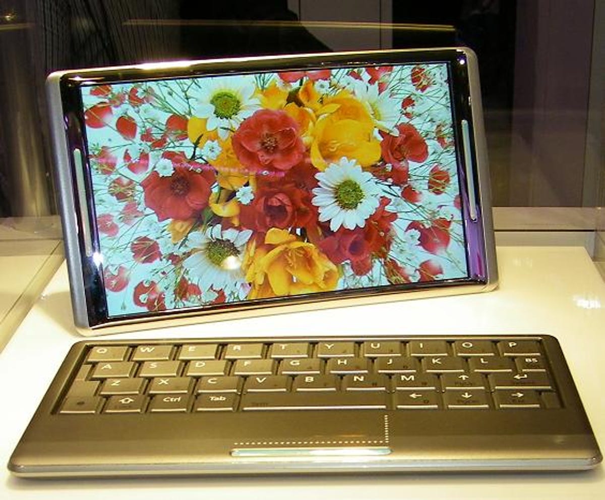 Toshiba's Internet Viewer uses a display that is about 10 inches diagonally (same as a large Netbook) and can be detached from the keyboard