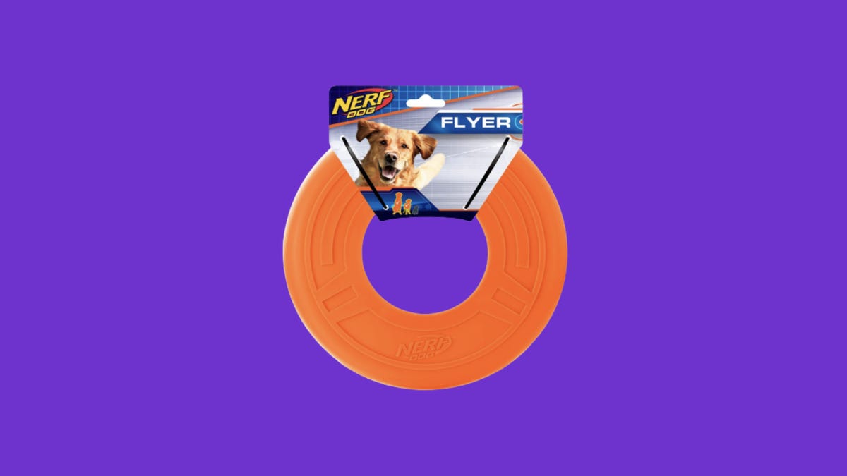 Orange ring shaped dog toy