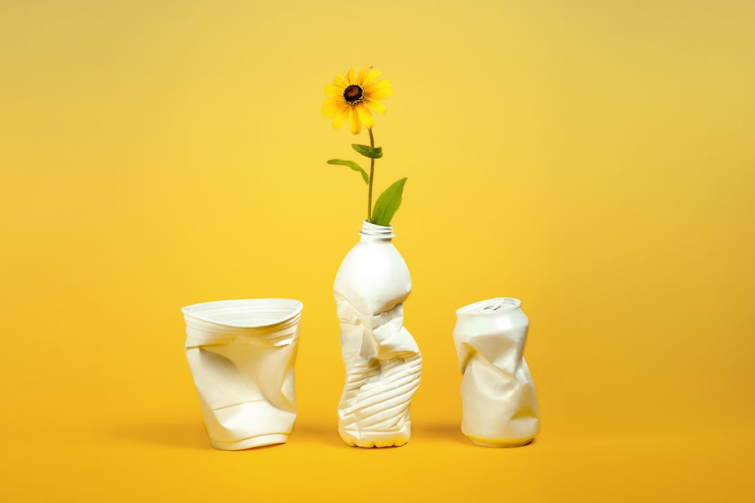 Plastic containers repurposed as vases for a sunflower