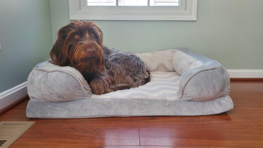Plush Pup Tough Orthopedic Dog Crate Pad XL™ - Chew Proof Dog Beds