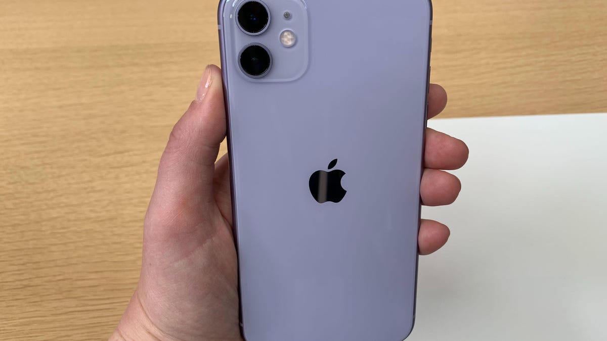 iphone-11-purple-4