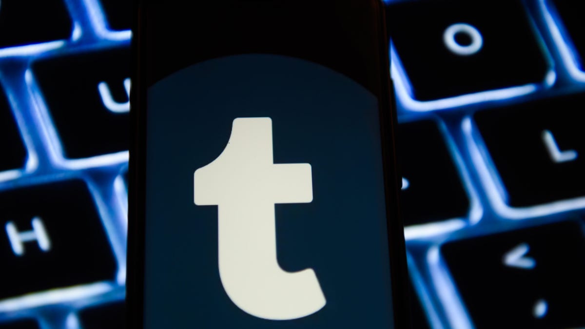 Tumblr logo is seen on an android mobile phone