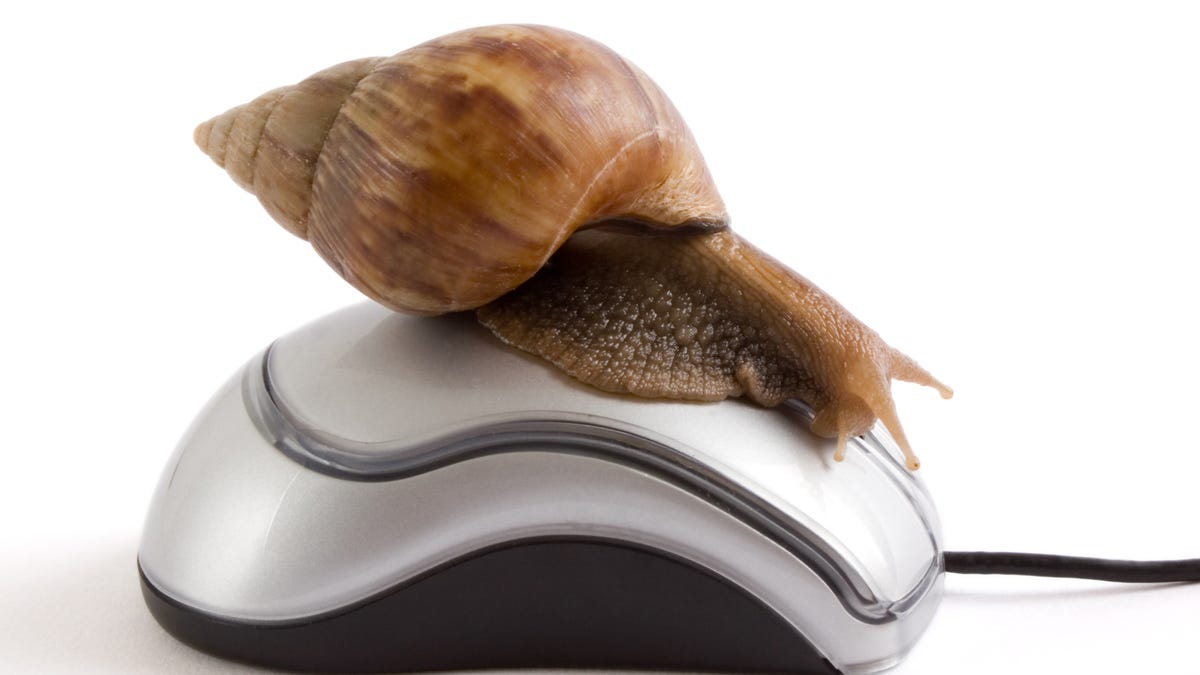 getty-slow-internet-snail.jpg