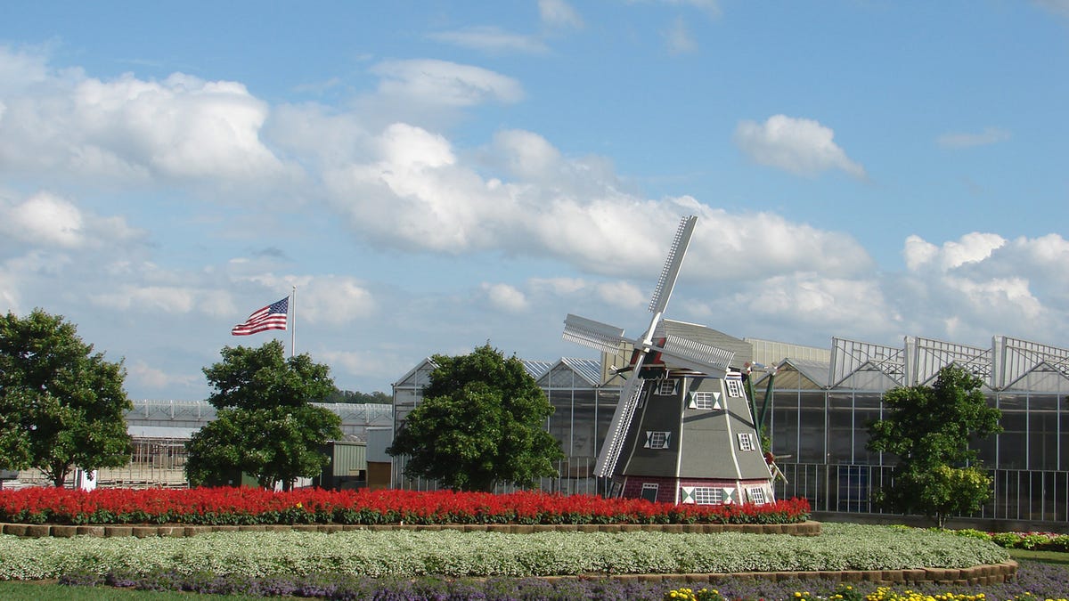 Metrolina_Windmill_PS.JPG