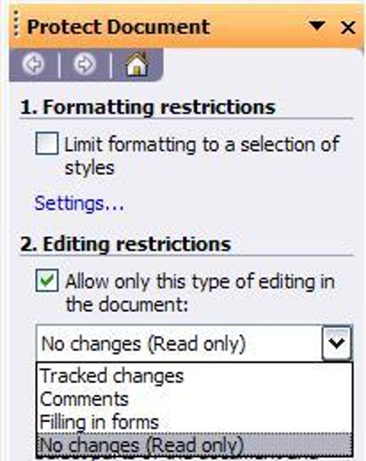 Microsoft Word 2003's Protect Document dialog box