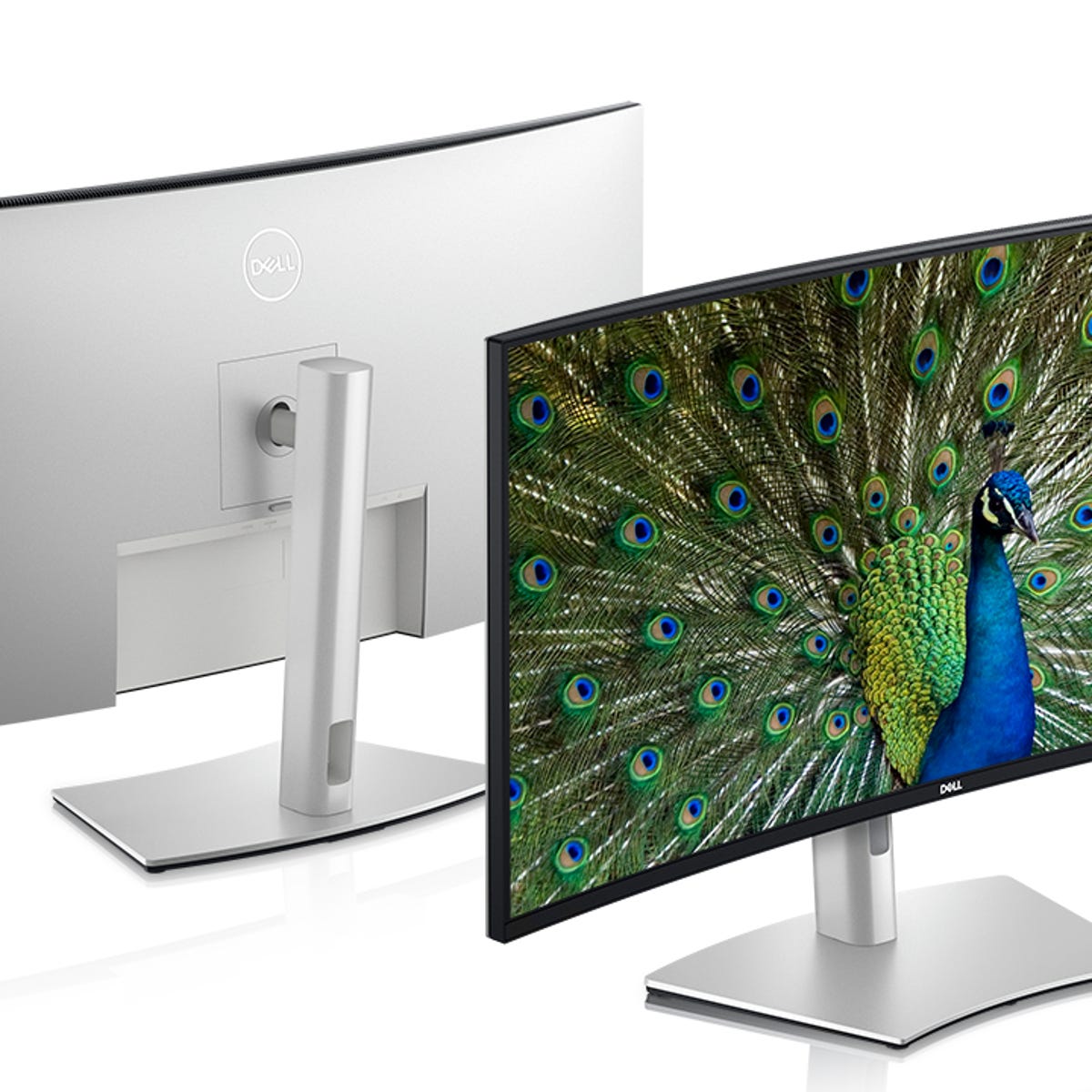 Dell's monitors for 2021 tackle working from home and remote schooling -  CNET