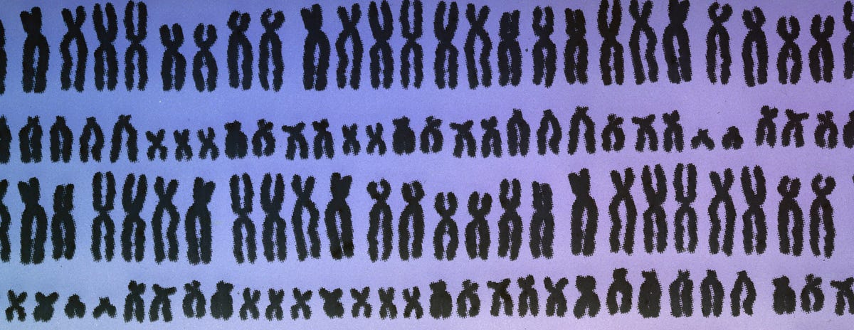 chromosomes-getty-2.jpg