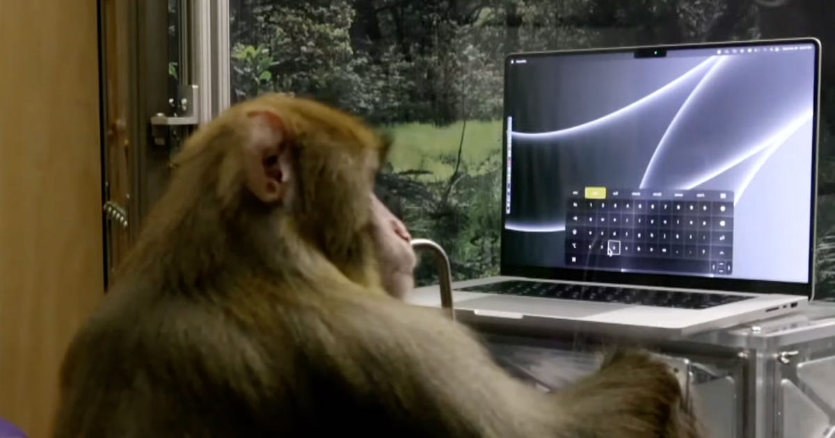 Neuralink Shows Sake the Monkey Typing With Its Brain Chip