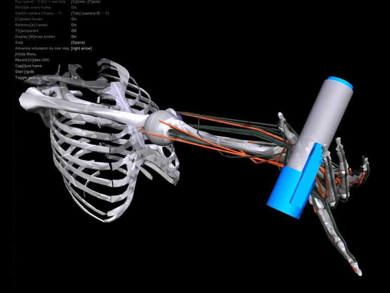 A simulation of a human skeleton rotating a grey and blue pen.