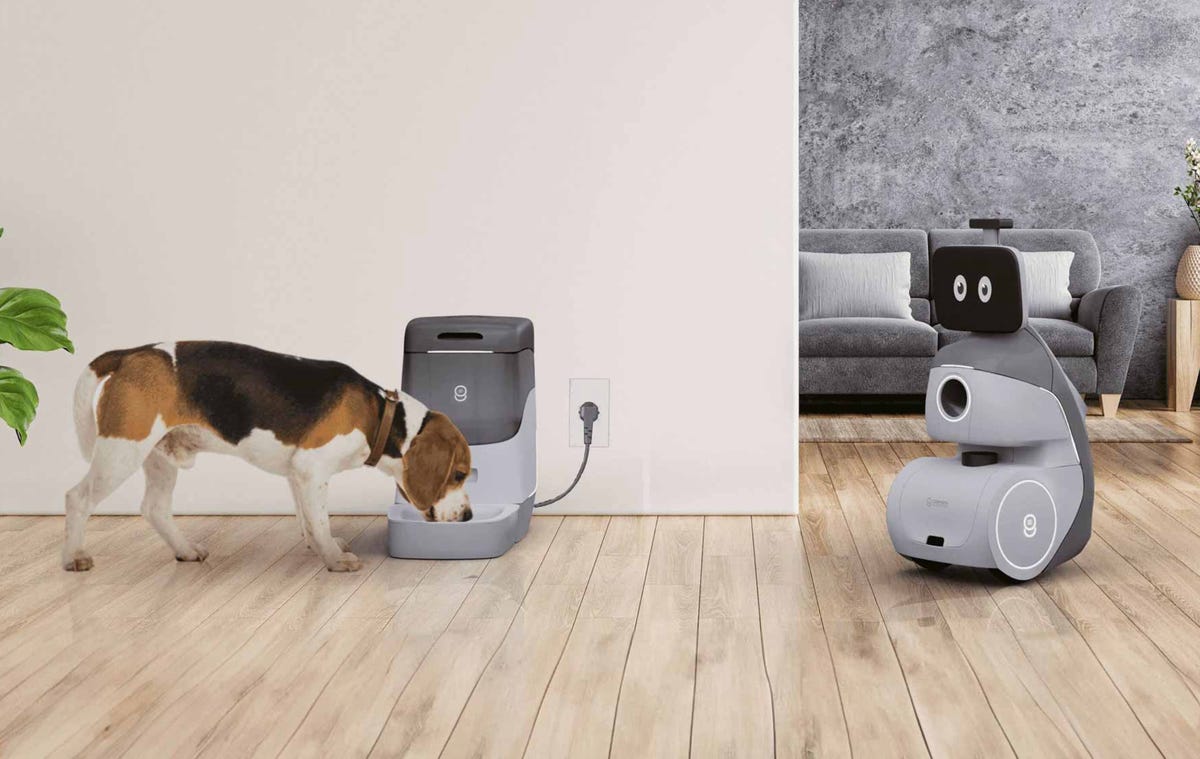 dog eating while robot looks on