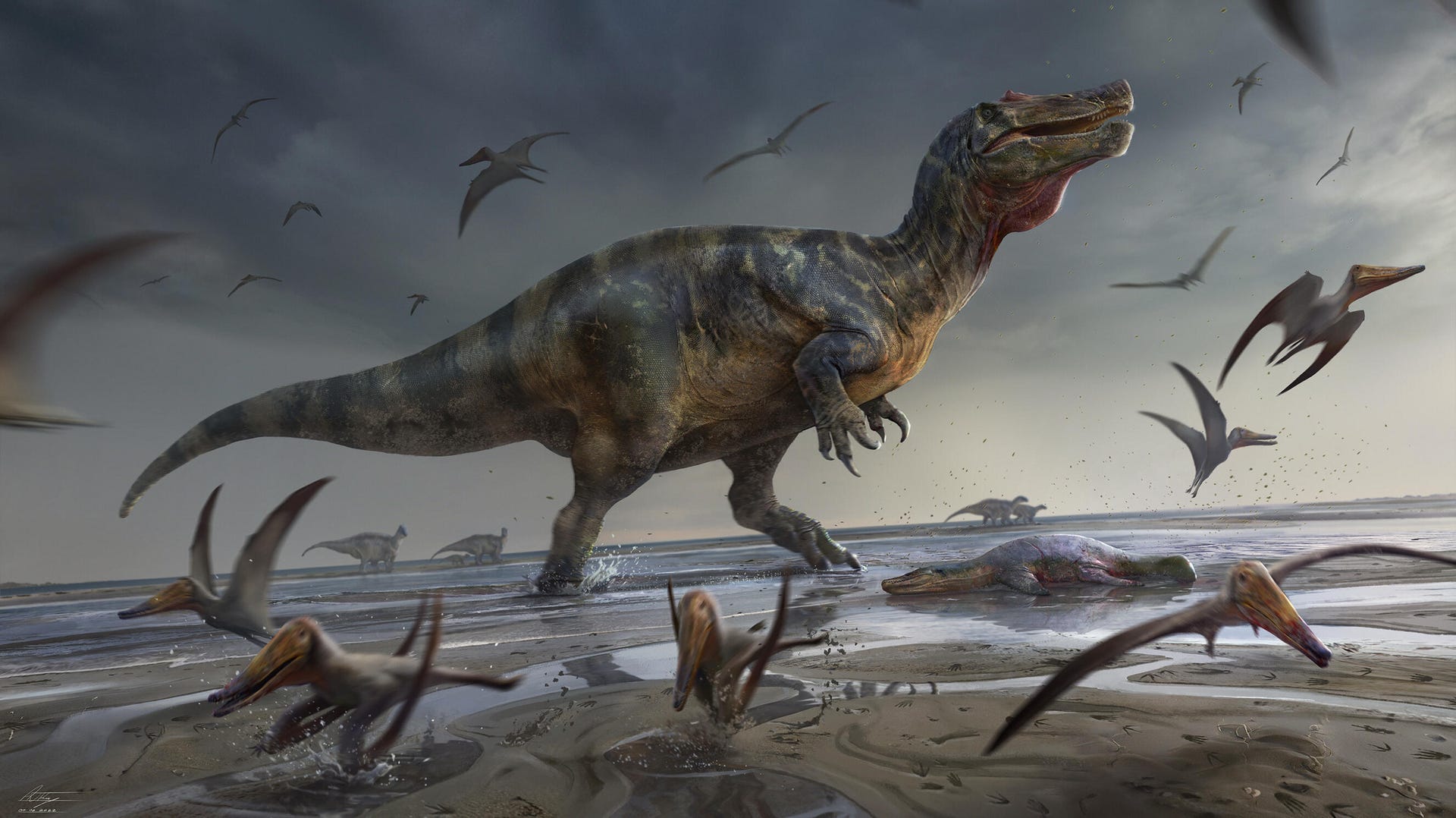 A large spinosaurid dinosaur walks through shallow water as flying dinosaurs scatter.