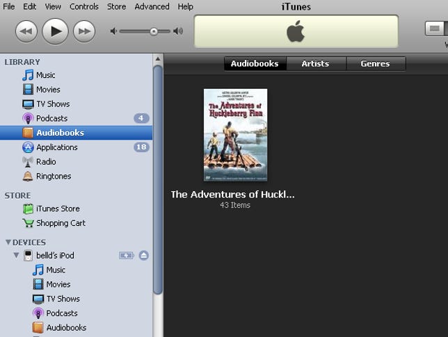 Screen shot of iTunes 8.