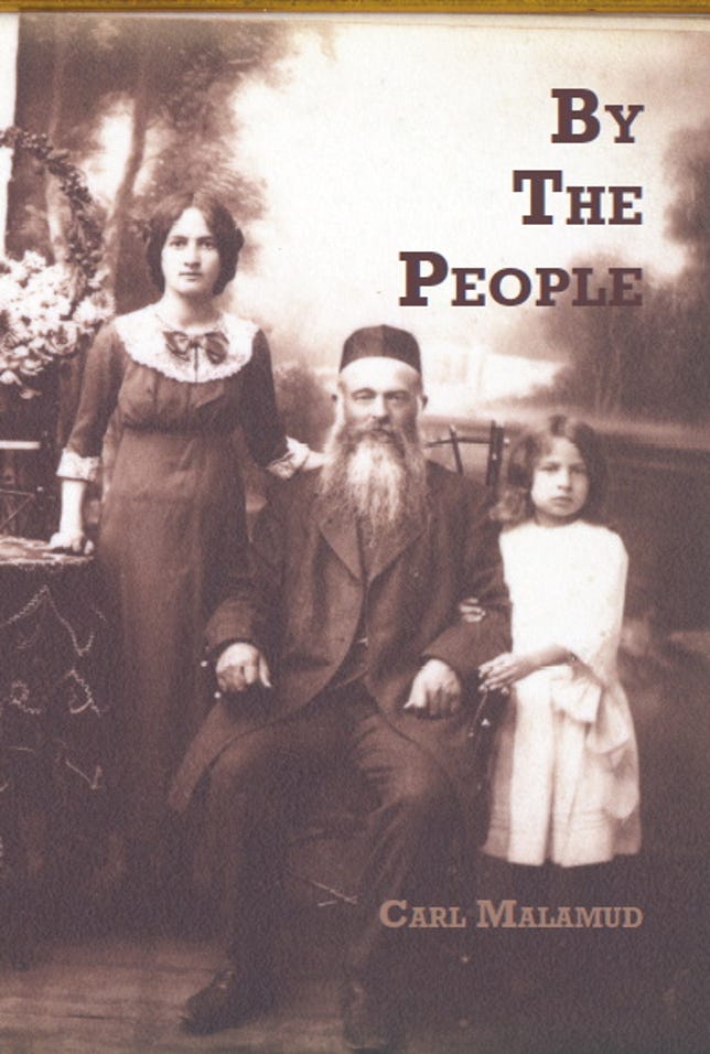 Cover of Carl Malamud's By the People