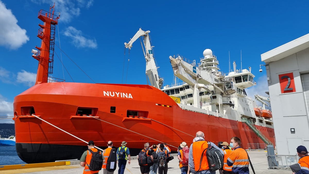 The RSV Nuyina, a red and white icebreaking ship, anchored at the wharf in Hobart, Tasmania.