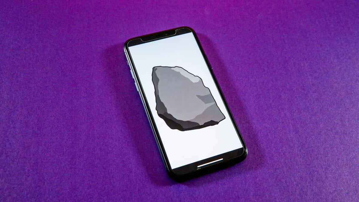 NFT of a pet rock on a smartphone screen