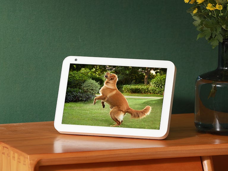 An Echo Show on a wooden table showing Eufy security cam footage of a golden retriever playing on a lawn.