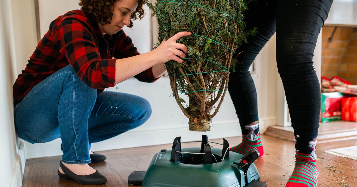 How to set up your Christmas tree - CNET