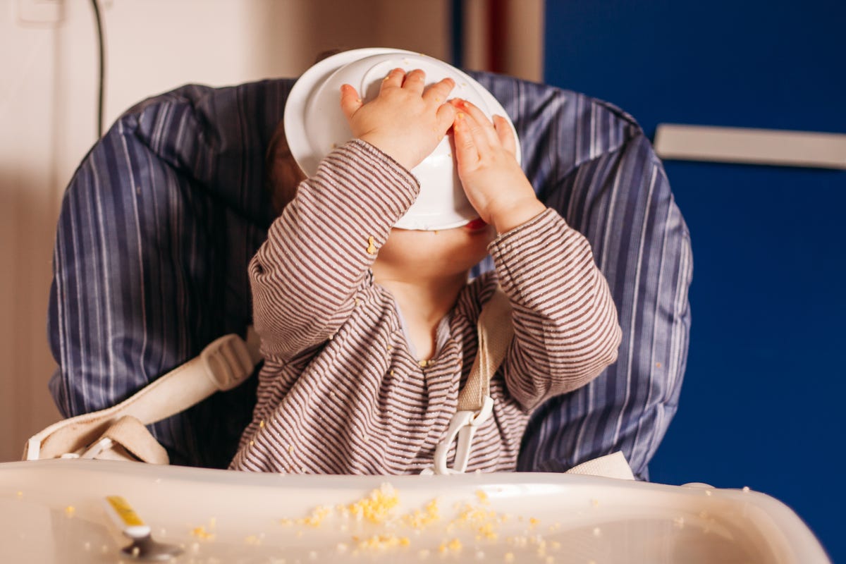 Toddler sitting in a high chair, eating with a plate in their face